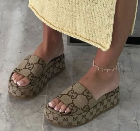 سليبر جوتشي